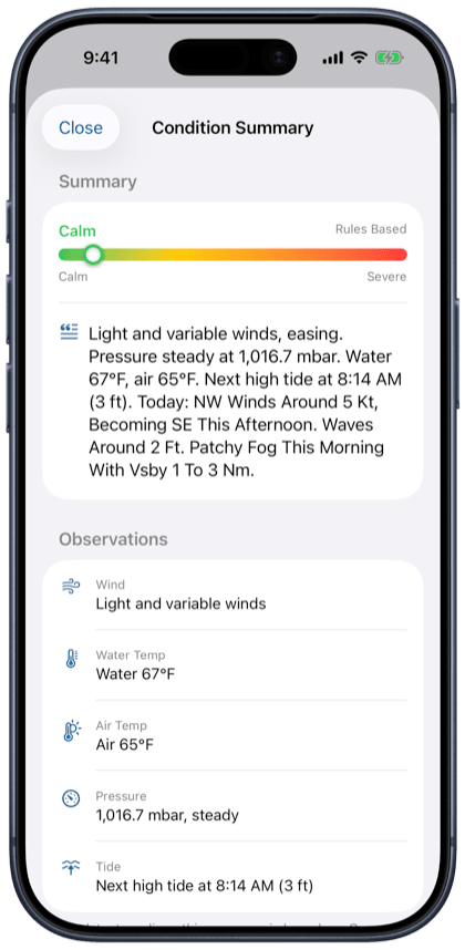 AI condition summaries